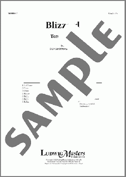 Blizzard-Full Score(Terry White) 楽譜 その他 ダウンロード