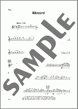 Blizzard-Flute(Terry White) 楽譜 その他 ダウンロード