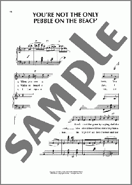 You're Not The Only Pebble On The Beach(Stanley Carter/Harry Braisted) 楽譜 ピアノ & ボーカル & ギター ダウンロード