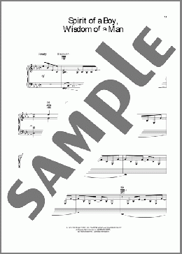 Spirit Of A Boy, Wisdom Of A Man(Randy Travis) 楽譜 ピアノ & ボーカル & ギター ダウンロード