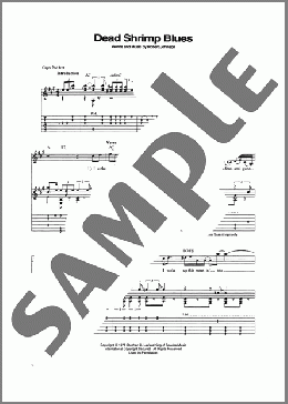 Dead Shrimp Blues(Robert Johnson) 楽譜 ギター(ソロ) ダウンロード
