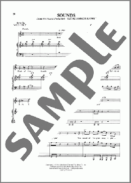 Sounds (from The Me Nobody Knows)(Will Holt) 楽譜 ピアノ & ボーカル ダウンロード