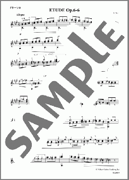 エチュードOp.6-6(Fernando Sor) 楽譜 ギター（ソロ） 中級 ダウンロード