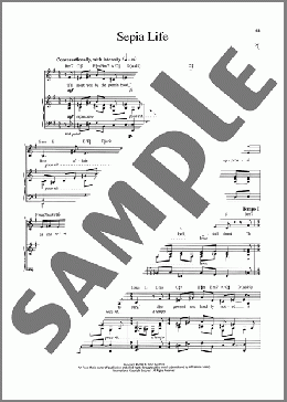 Sepia Life(John Bucchino/Andrea Marcovicci) 楽譜 ピアノ & ボーカル ダウンロード