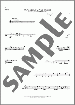 Waiting On A Wish (from Snow White) (2025)(Rachel Zegler) 楽譜 フルート ダウンロード
