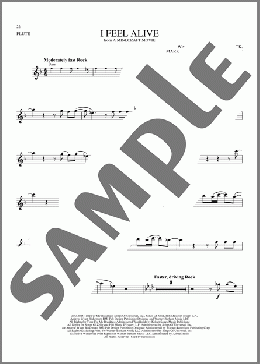 I Feel Alive (from A Minecraft Movie)(Jack Black) 楽譜 フルート ダウンロード