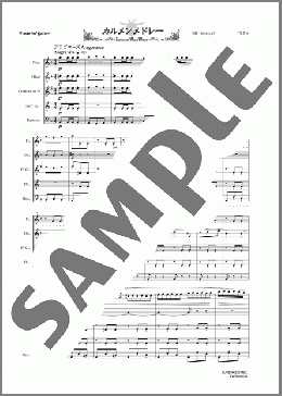 カルメンメドレー(木管五重奏)(ズーラシアンウッドウインズシリーズ) 楽譜 アンサンブル(フルスコア+全パート) 中級 ダウンロード