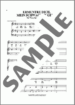 Ermuntre Dich, Mein Schwacher Geist（Johann Sebastian Bach）のピアノ & ボーカル楽譜のサンプル画像