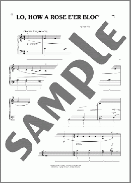 Lo, How A Rose E'er Blooming (arr. Phillip Keveren)（15th Century German Carol）のピアノソロ楽譜のサンプル画像