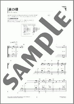 麦の唄(中島 みゆき)のギターソロ、初級から中級向け楽譜のサンプル画像