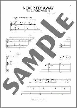 Never Fly Away (from Maybe Happy Ending)（Hue Park & Will Aronson/Hue Park/Will Aronson）のピアノ & ボーカル楽譜のサンプル画像