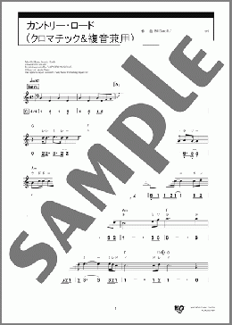 カントリー・ロード(クロマチック&複音兼用)(Bill Danoff/John Denver/Taffy Nivert)のハーモニカ楽譜のサンプル画像