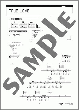 TRUE LOVE(藤井 フミヤ) 楽譜 ギター(弾き語り) 初級 ダウンロード