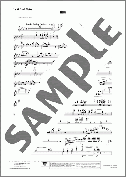 宝島(1st & 2nd Flutes)(T-SQUARE) 楽譜 吹奏楽(パート) ダウンロード 定額サブスク