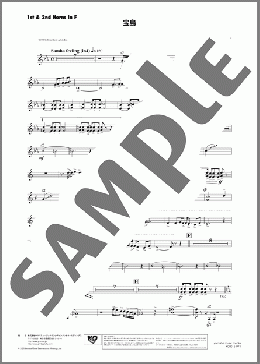宝島(1st & 2nd Horns in F)(T-SQUARE) 楽譜 吹奏楽(パート) ダウンロード 定額サブスク